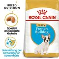 10 kg ROYAL CANIN French Bulldog Junior 