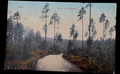 59827 AK Gera Partie am Stadtwald Blick auf Waldweg 1914