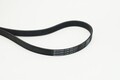 CONTINENTAL CTAM Keilrippenriemen 6PK1670 für FIAT CITROËN PEUGEOT JAGUAR FORD