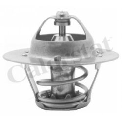 Thermostat, Kühlmittel CALORSTAT BY VERNET TH5971.88J