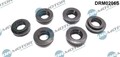 Dr.motor Automotive Dichtung Düsenhalter für Audi A4 B6 Limo 00-04 Drm0206S