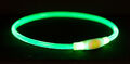 Trixie Flash Leuchtring USB S–M 40 cm/ø 8 mm grün Hundehalsband Lichthalsband