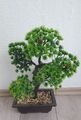 Bonsaibaum Deko Pflanze Kunstpflanze ca.  40 cm hoch