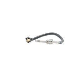 RIDEX 3938E0310 Abgastemperatursensor passend für MERCEDES-BENZ M-Klasse (W166)