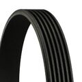 KEILRIPPENRIEMEN CONTINENTAL CTAM 6PK737 FÜR VW GOLF 7 5G