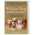 Welcher Hund passt zu uns? - Cesar Millan, Melissa Jo Peltier, Taschenbuch