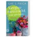 Vergissmeinnicht war gestern - Ilke S. Prick, Taschenbuch