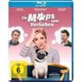 Ein Mops zum Verlieben (Blu-ray)