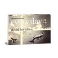 Random Minis: Every Day - David Levithan, Taschenbuch