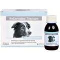Reconvales Tonicum für Hunde 6X90 ml