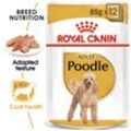 ROYAL CANIN Poodle Adult in Soße Hundefutter nass für Pudel 12x85g