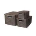 3 curver STYLE Aufbewahrungsboxen-Set braun