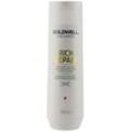 Goldwell Dual Senses Rich Repair Restoring Shampoo (250 ml)