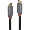 LINDY USB-Kabel USB 3.2 Gen2x2 USB-C® Stecker, USB-C® Stecker 0.50 m Schwarz, Grau 36900