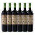 Doppio Passo Primitivo Bio IGT Puglia - 6er Karton