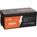 12V 400Ah Lithium Batterie Akku LiFepo4 Integriertes 250A bms, 5120Wh Nutzbare Energie, 4000-15000 Zyklen, perfekt für Heim-Solaranlage - Litime