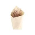 Chic Antique Fleur getrocknetes Flachs, L61 cm, taupe