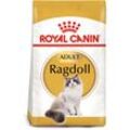 ROYAL CANIN Ragdoll Adult Katzenfutter trocken 10kg