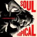 Soul Tropical (Gatefold) - David Walters. (LP)