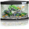 Juwel JUWEL Trigon 190 LED Aquarium, 190 Liter, schwarz