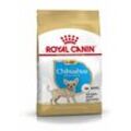 Royal Canin Chihuahua Puppy Welpenfutter trocken, 500 g