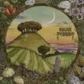 Ridge & Furrow - Dark Forest. (CD)