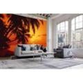 papermoon Vlies- Fototapete Digitaldruck 350 x 260 cm Tropical Sunset