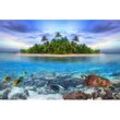 papermoon Vlies- Fototapete Digitaldruck 350 x 260 cm Marine Life Maldives