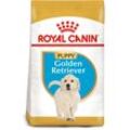 ROYAL CANIN Golden Retriever Puppy Welpenfutter trocken 3kg