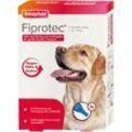 Fiprotec 268 mg Lösung z.Auftr.f.große Hunde 3X2.68 ml