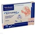 Effipro 268 mg Pip.Lsg.z.Auftropf.f.gr.Hunde 4 St