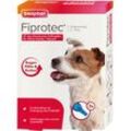 Fiprotec 67 mg Lösung z.Auftr.f.kleine Hunde 3X0.67 ml
