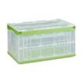 relaxdays Klappbox 60,0 l transparent/grün 59,5 x 39,5 x 31,5 cm