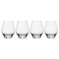 Spiegelau Flavored Water Gläser Special Glasses 450 ml 4er Set