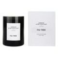 Urban Apothecary - Luxury Boxed Glass Candle - Fig Tree - luxury Boxed Glass Candle - Fig Tree
