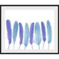 Bild QUEENCE "Bello" Bilder Gr. B/H: 60 cm x 50 cm, Wandbild Federn Querformat, blau (schwarz) Kunstdrucke gerahmt, Federn