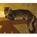 Kunstdruck Summer: Cat on a Balustrade Theophile-Alexandre Steinlen Katze Tiere B