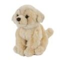 Teddys Rothenburg Kuscheltier Kuscheltier Golden Retriever 19 cm Hund Uni-Toys