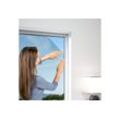 Windhager Moskitonetz Standard für Fenster, Insektenschutzgitter, BxH: 130x150 cm, grau