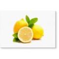 Wall-Art Küchenrückwand Spritzschutz Lemons Zitrone, (1-tlg), Herd Waschbecken Wandschutz, gelb