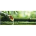 Wallario Wandfolie, Bambusquelle Bambusrohr mit Wasser