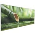 Wallario Küchenrückwand Bambusquelle Bambusrohr mit Wasser