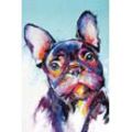 Bönninghoff Leinwandbild Hund, Hund (1 St), BxH: 60x90 cm, blau|bunt|rot|schwarz|weiß