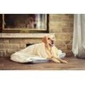 Carpe Sonno Tierkissen Hundekissen mit Decke zum schlafen und entspannen für Hunde und Katzen