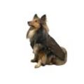 Fashion Dog Hunderegenmantel Hunde-Regenmantel mit Fleecefutter