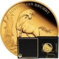 1 Unze Goldmünze Australien Brumby 2023 - polierte Platte