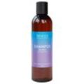 Benecos Haarshampoo Natural Basics Shampoo Sensitiv