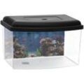 Mini Aquarium Terrarium Faunarium Zucht Becken klein Fisch Triops Garnelen Acryl Kunststoff Plastik mit Deckel Rückwandfolie - Garpet