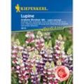Lupinen Avalune Bicolor Mix - Blumensamen - Kiepenkerl