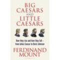 Big Caesars and Little Caesars - Ferdinand Mount, Gebunden
